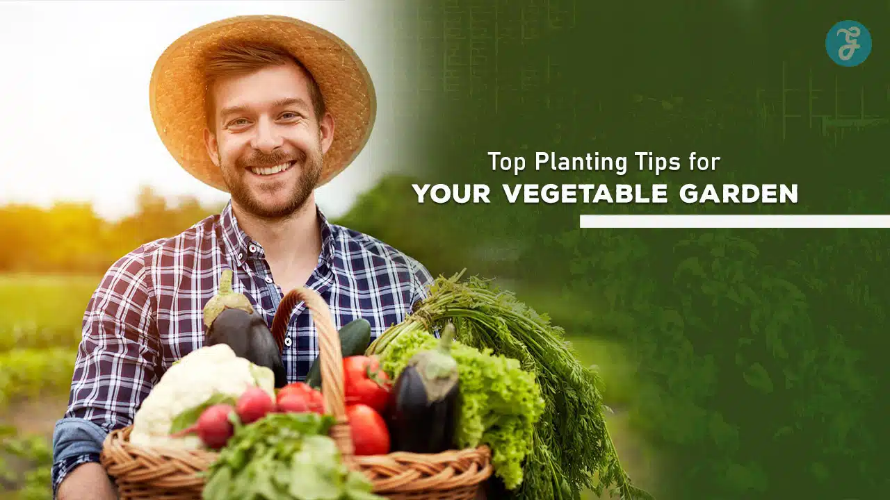 Top Planting Tips for Your Vegetable Garden