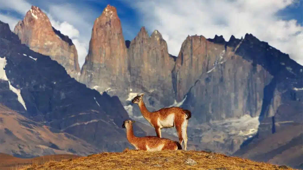 The towering, jagged peaks of Torres del Paine in Chile