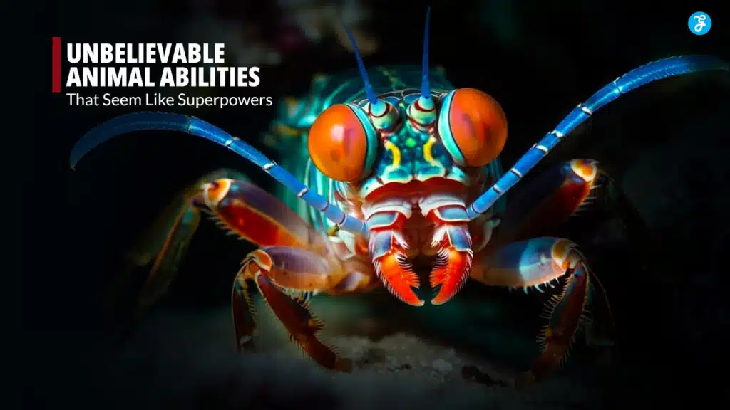 Unbelievable Animal Abilities That Seem Like Superpowers