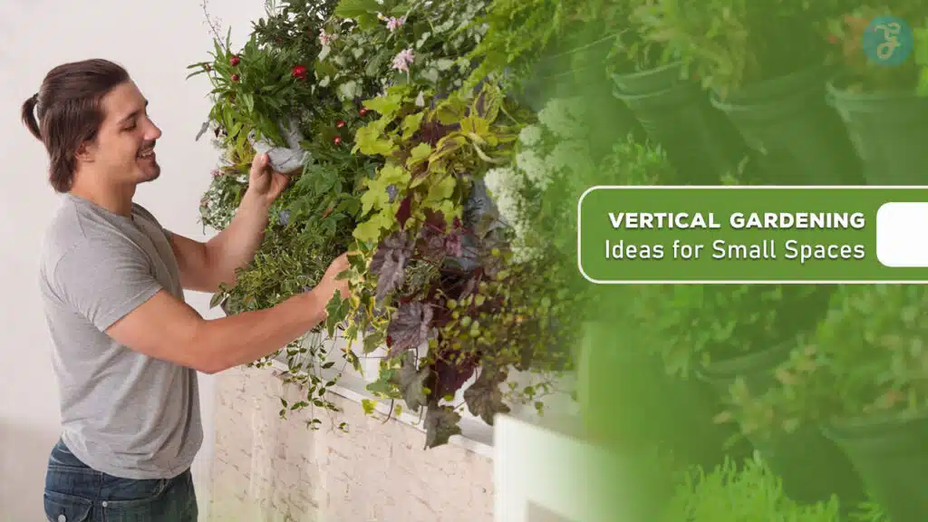 Vertical Gardening Ideas for Small Spaces