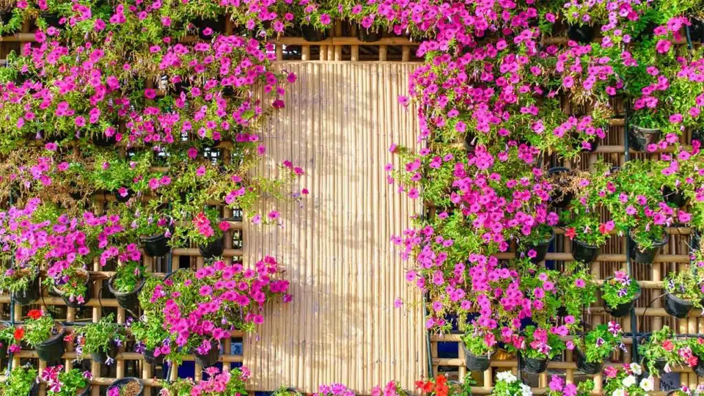 Vertical garden with vibrant pink flowers in