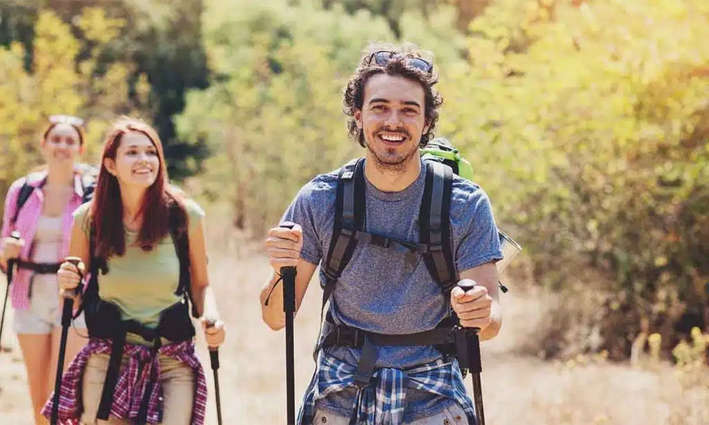 Watch a Sumo Wrestling Tournament in Tokyo, Japan