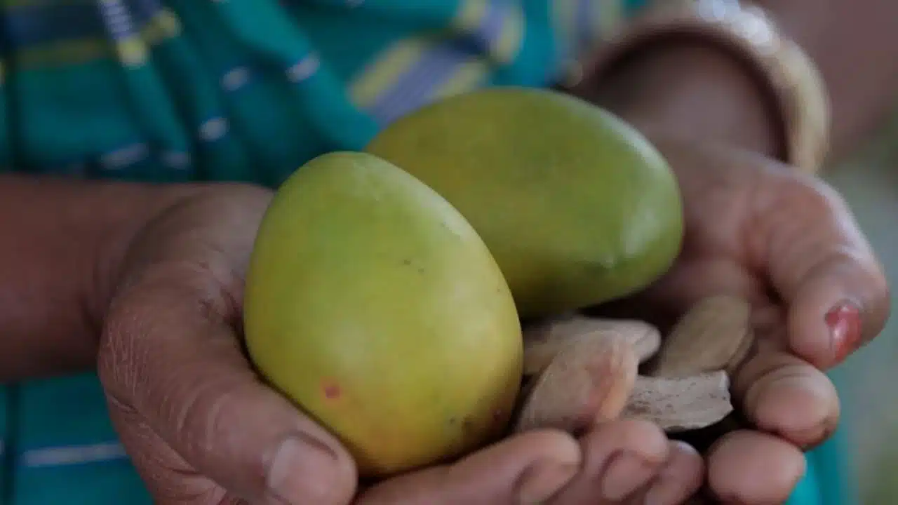 What is Sustainable Beauty and Why Does it Matter in the Beauty Industry