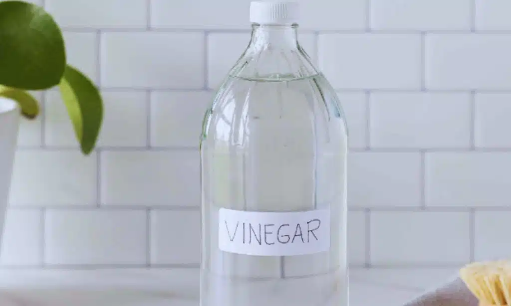 White Vinegar Spray