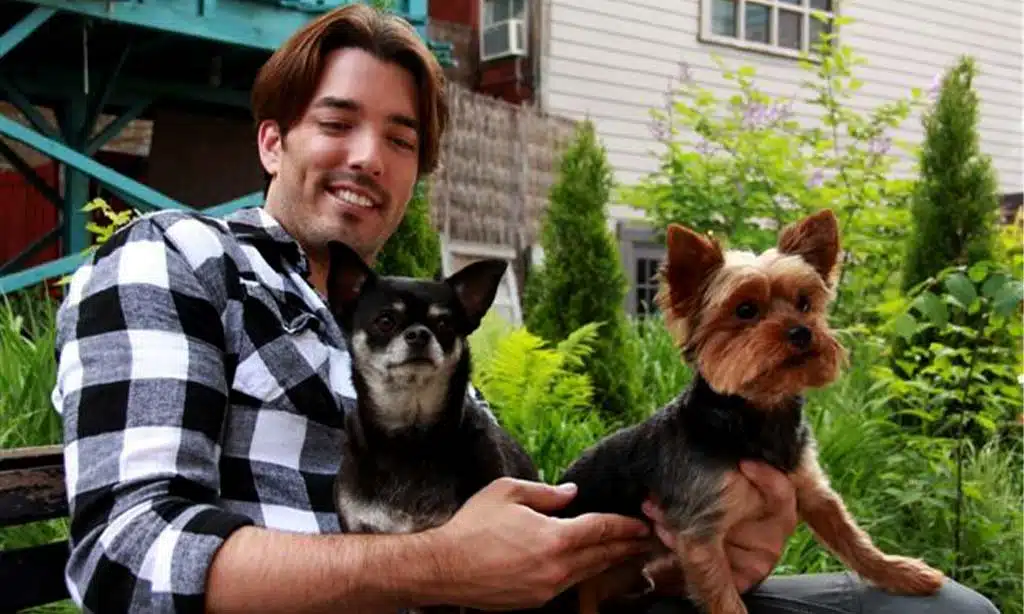 jonathan scott with his loving pets