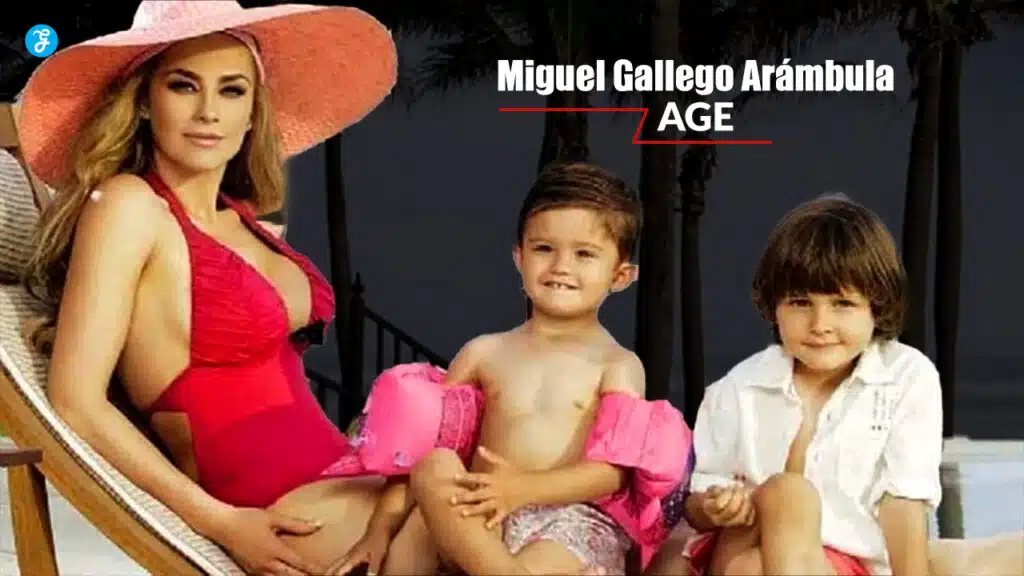 miguel gallego arambula age