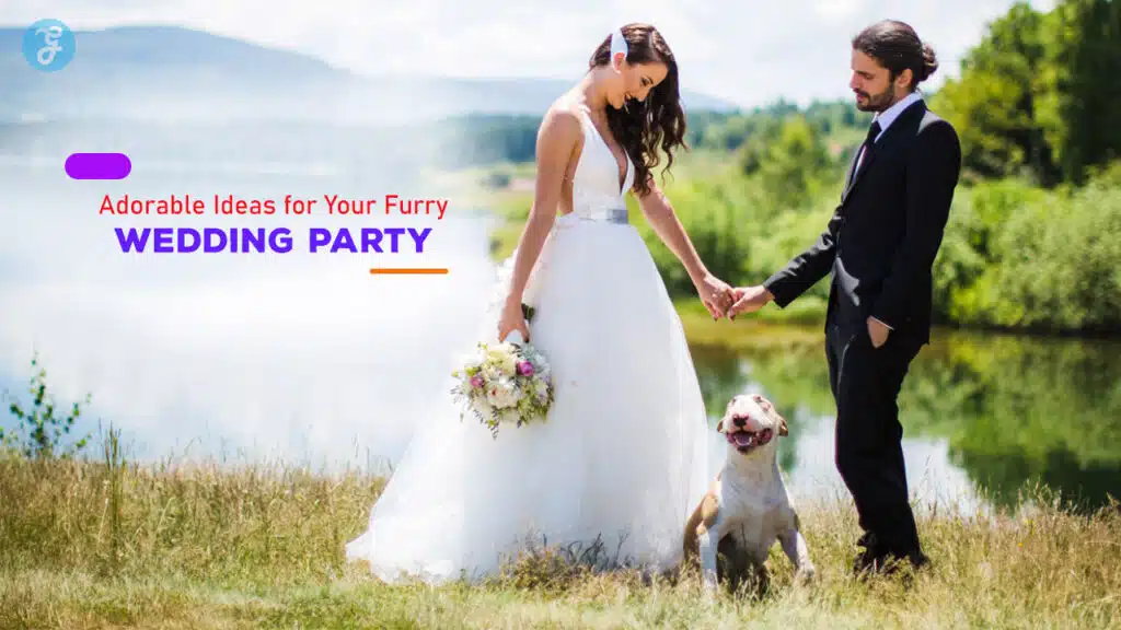 Adorable Ideas for Your Furry Wedding Party