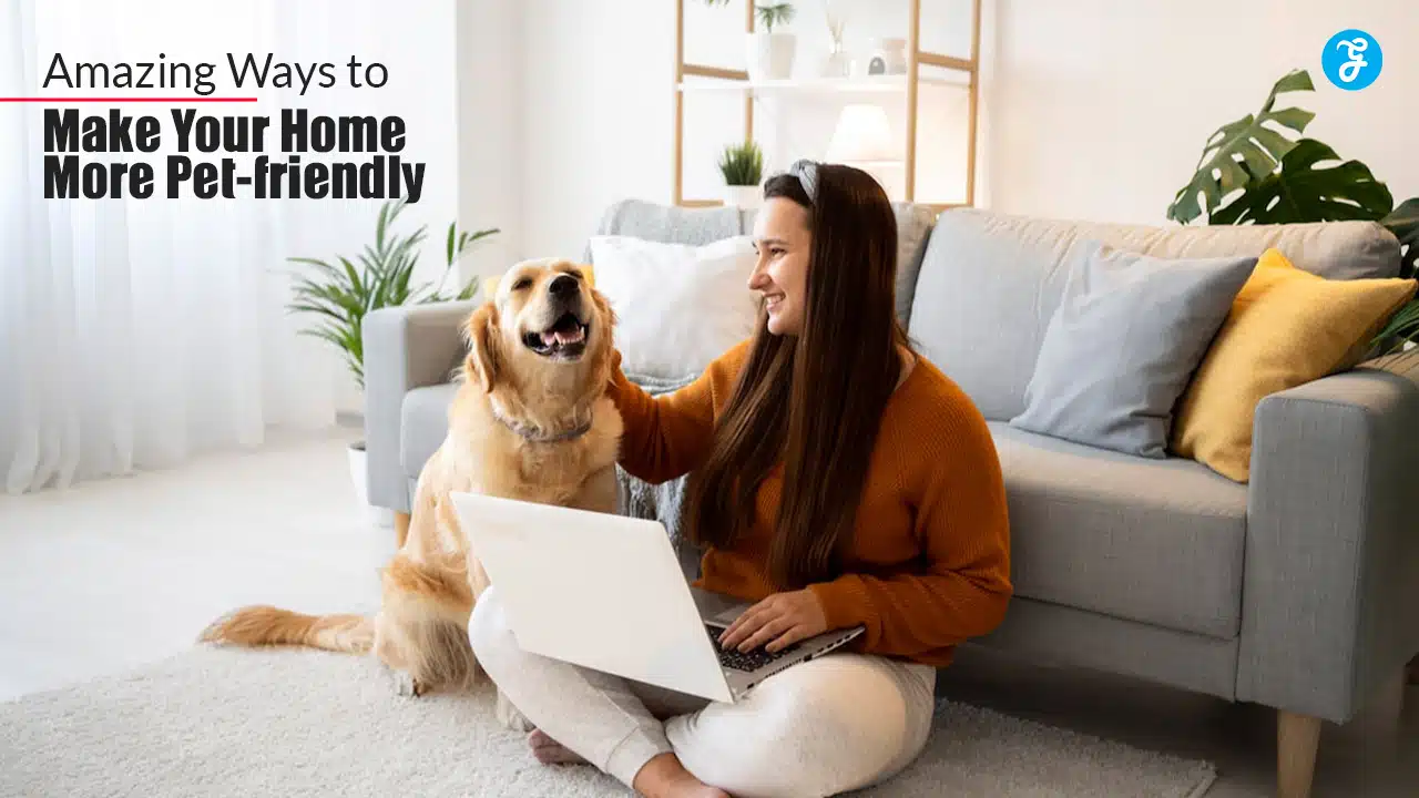 Amazing Ways to Make Your Home More Pet-friendly
