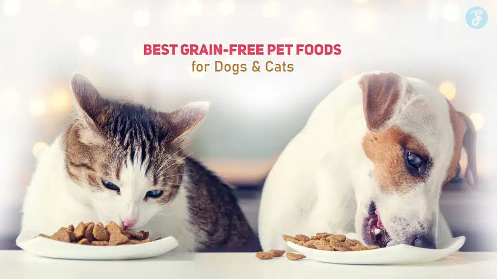 Best Grain-Free Pet Foods for Dogs and Cats