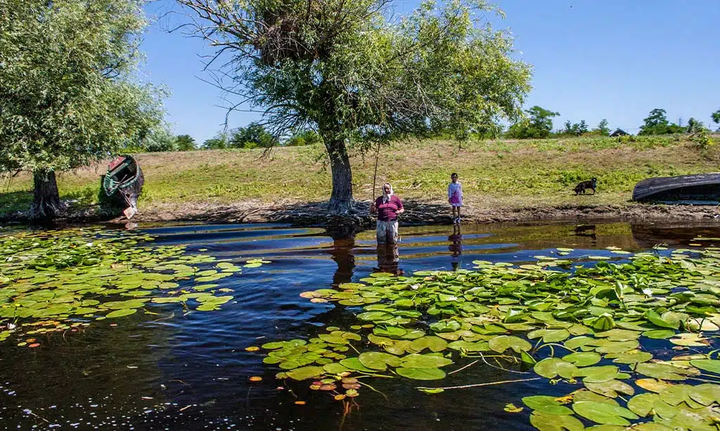 Danube Delta