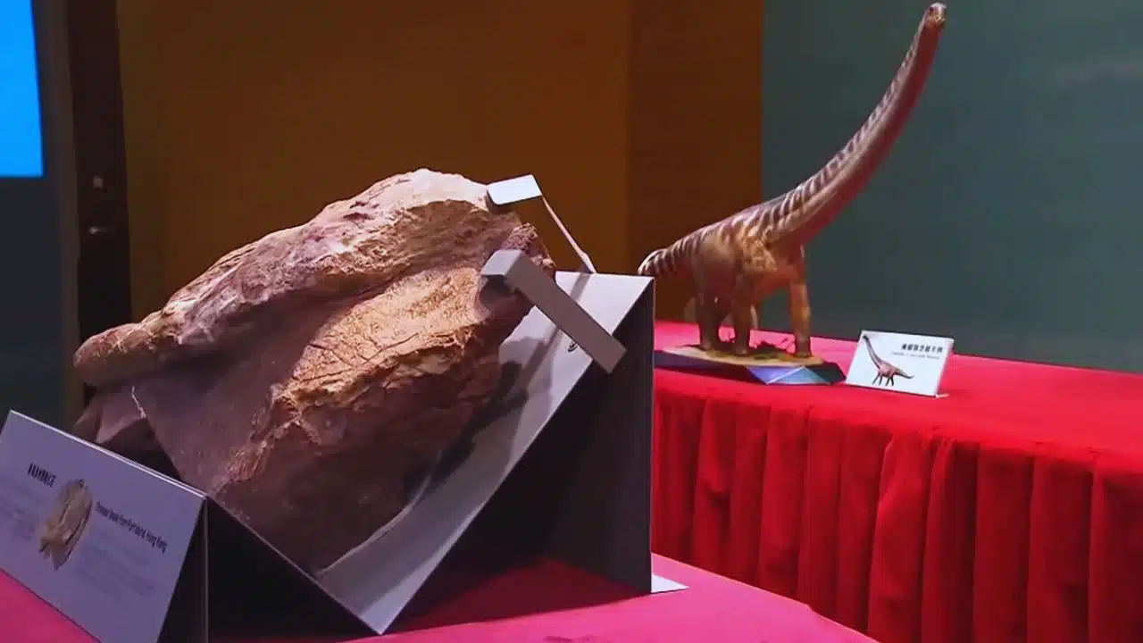 Dinosaur Fossils Discovered in Hong Kong