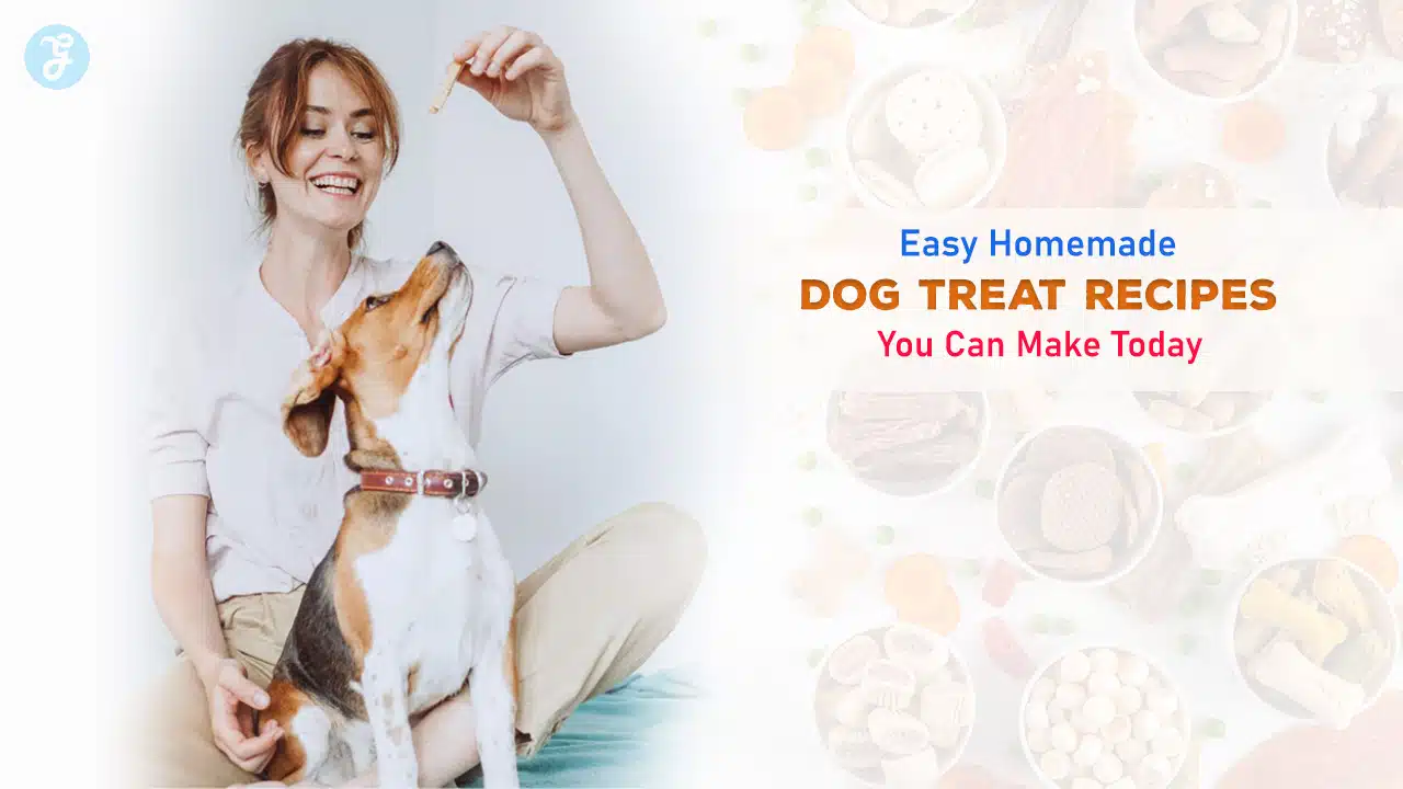 Easy Homemade Dog Treat Recipes You Can Make Today