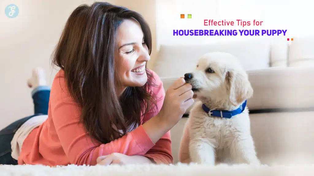 Housebreaking your puppy