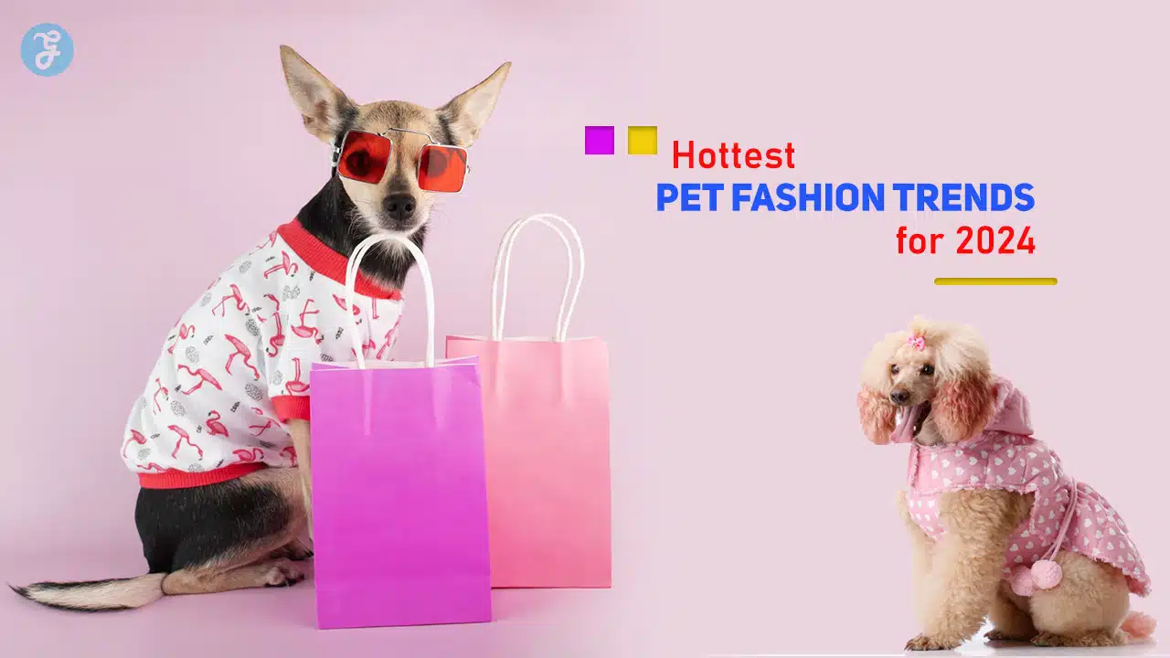 Pet Fashion Trends