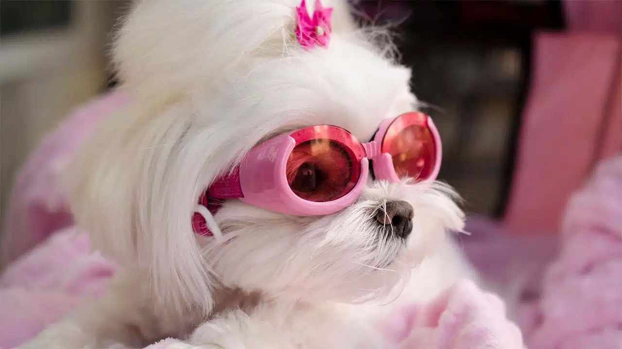 Retro-Inspired Designs