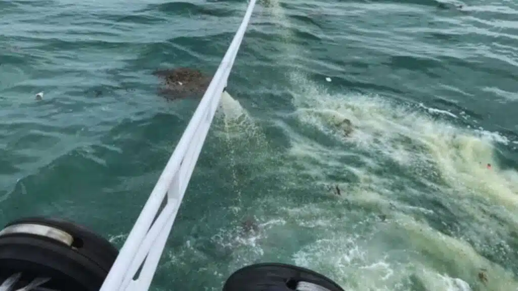 Singapore Shell Pipeline Oil Spill