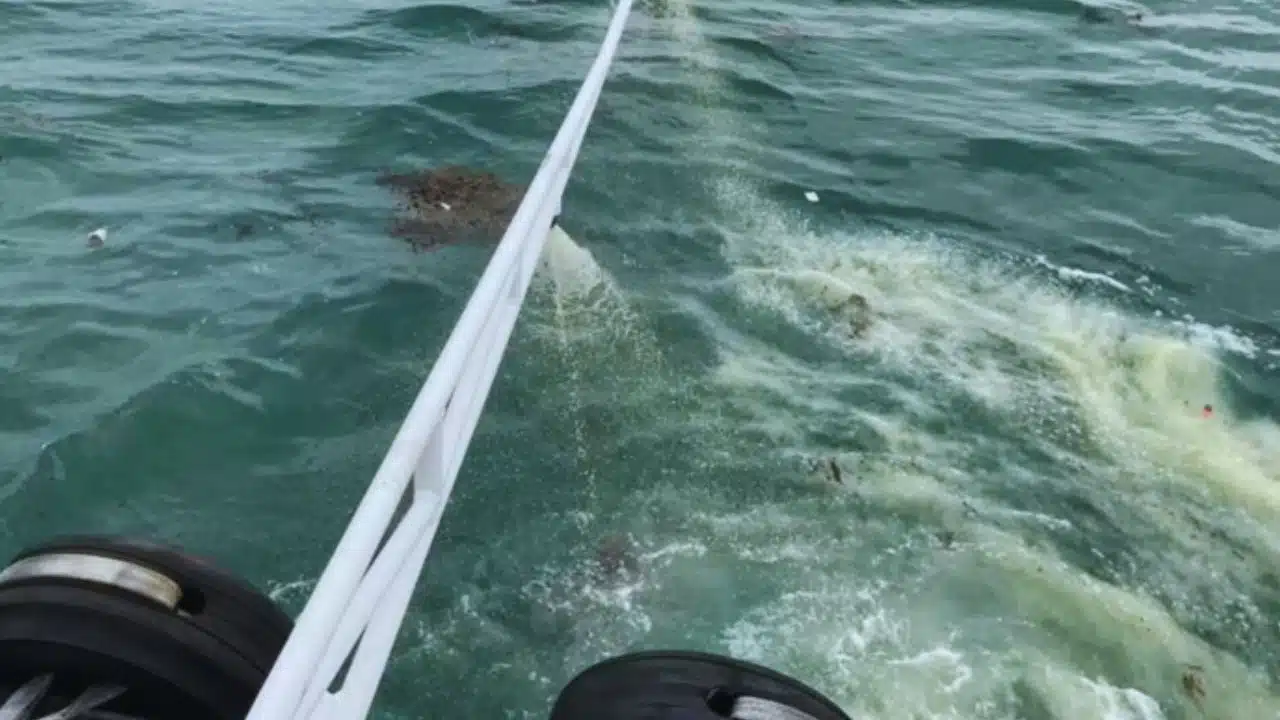 Singapore Shell Pipeline Oil Spill