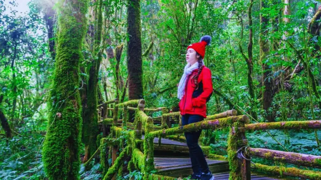 Stunning Hikes to Discover South Korea