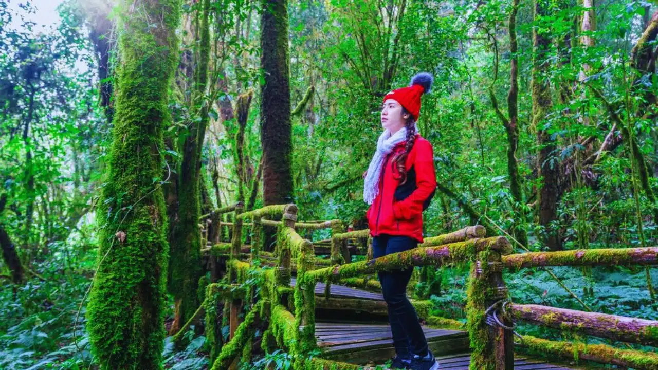 Stunning Hikes to Discover South Korea