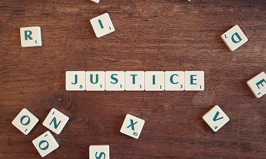 Taking the Case to Trial