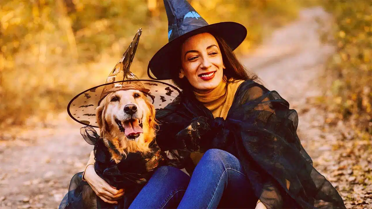 The Mandalorian Pets