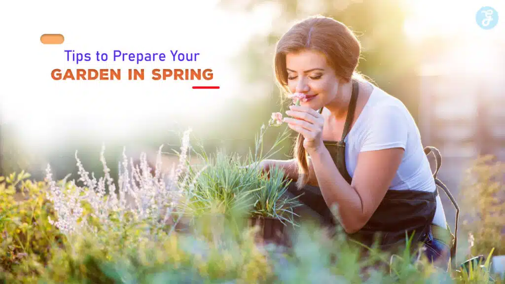 Tips to Prepare Your Garden in Spring