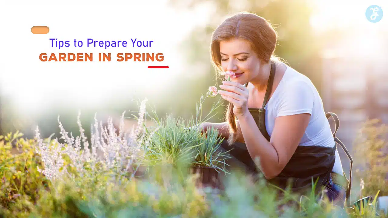 Tips to Prepare Your Garden in Spring