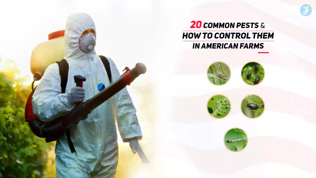 Common Pests in American Farms