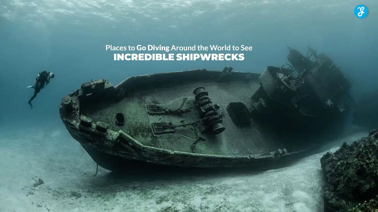 Amazing Shipwreck Diving Spots
