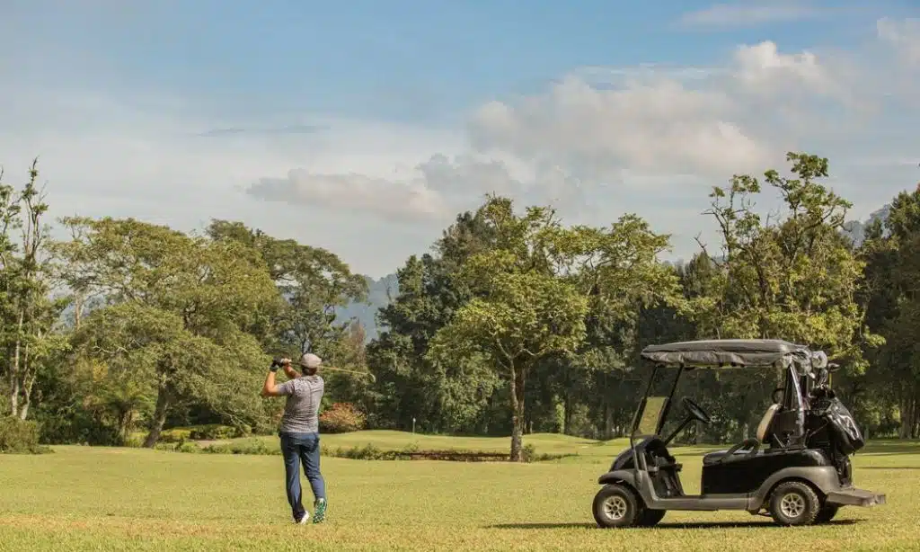 Best Golf Cart Dealers in Wisconsin