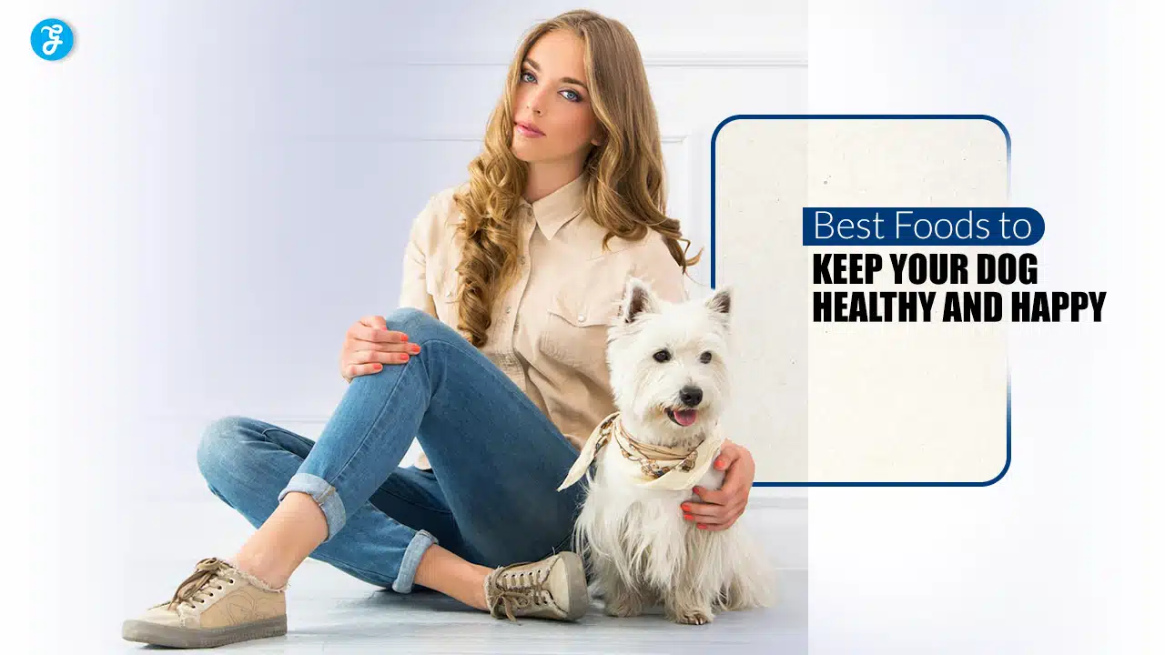 Best Foods to Keep Your Dog Healthy and Happy