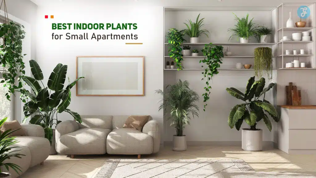 Best Indoor Plants for Small Apartments