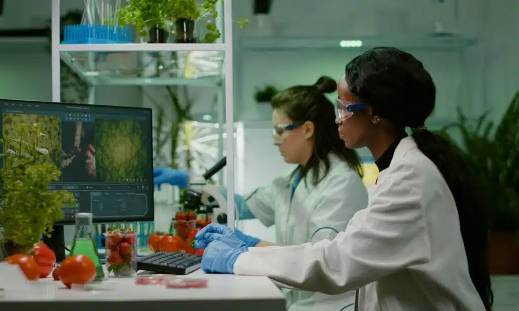 Biomedical Engineering