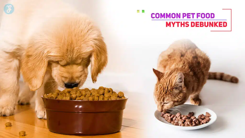 Common Pet Food Myths Debunked