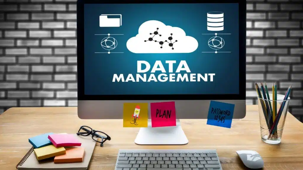 Data Management Service Providers in the US