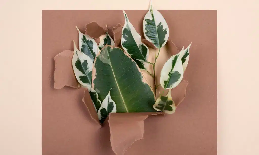 color palettes for 2024