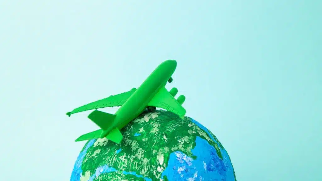 Eco-Friendly Travel Agencies in the USA