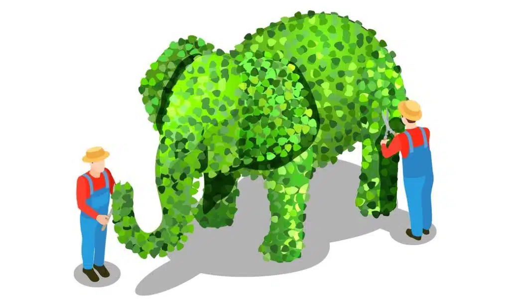 Capitalize on Market Volatility