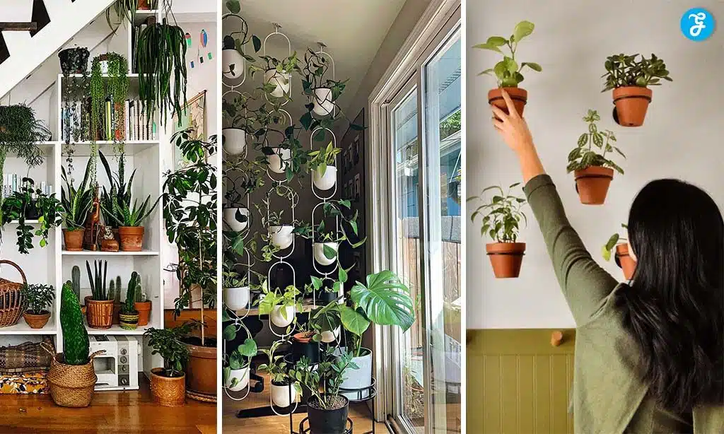 Put Plants Where They Make Sense