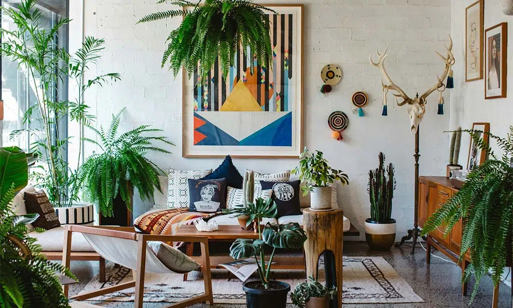 Understanding Your Space: The First Step to Success