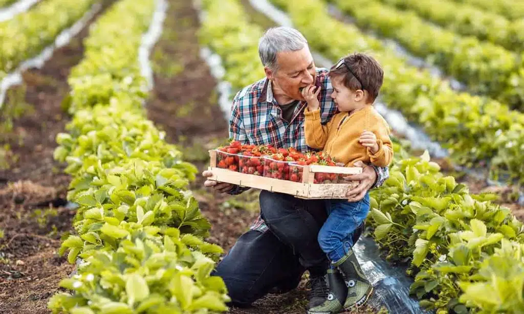 Implement Integrated Pest Management (IPM)