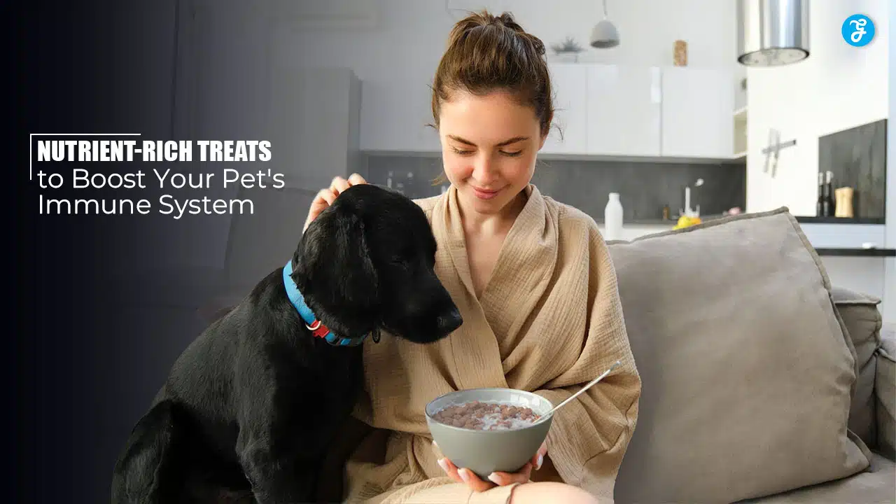 Nutrient-Rich Treats to Boost Your Pet's Immune System