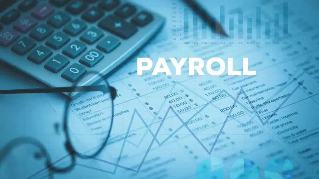 Payroll Software Solutions for Small Businesses in India