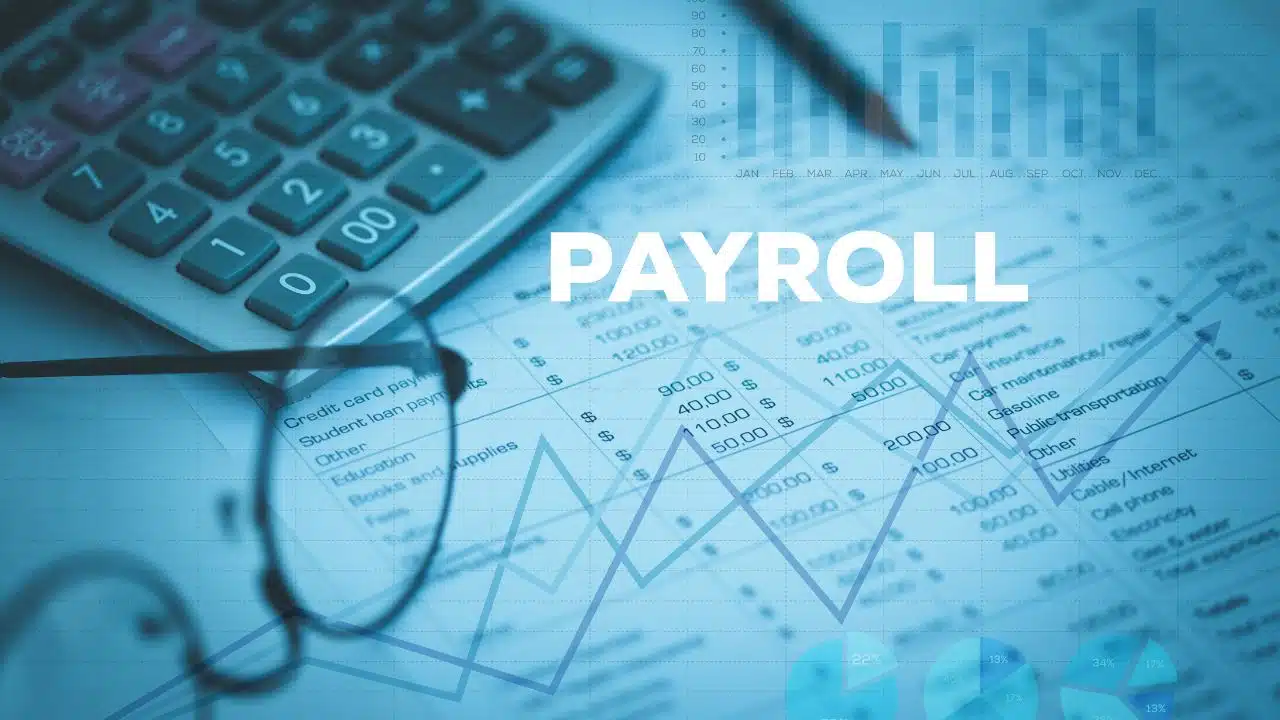 Payroll Software Solutions for Small Businesses in India