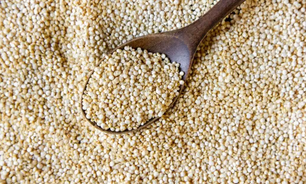 Quinoa