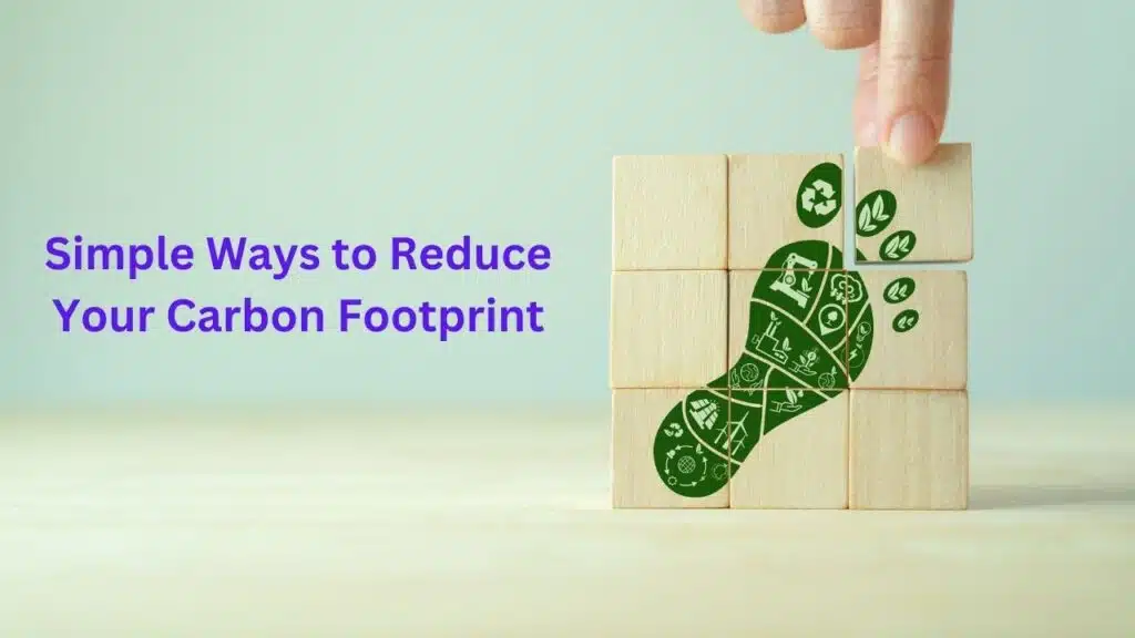 Simple Ways to Reduce Your Carbon Footprint