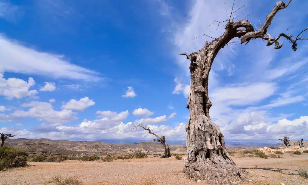 Hidden Vacation Destinations Guide