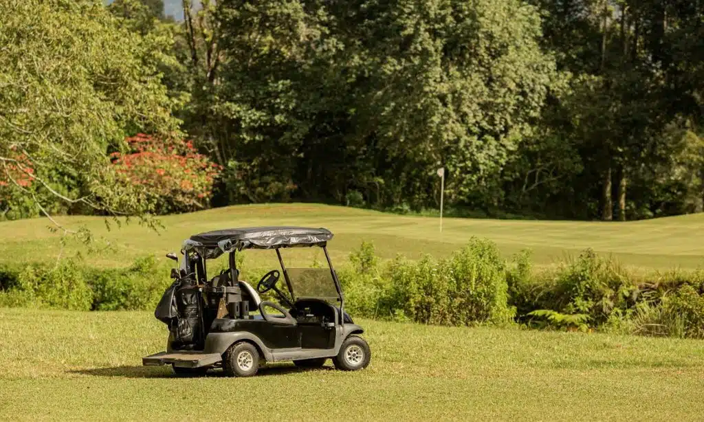 8 Best Golf Cart Dealers in Wisconsin for Utility and Fun