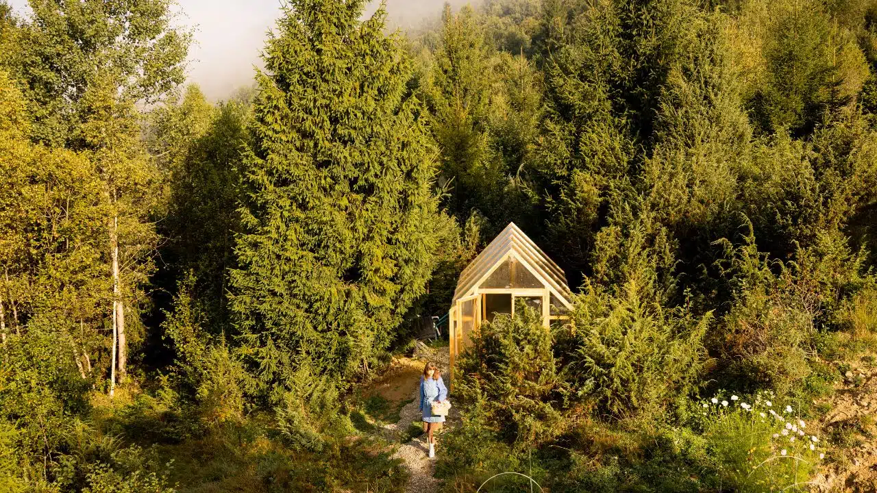 Sustainable Living Tips