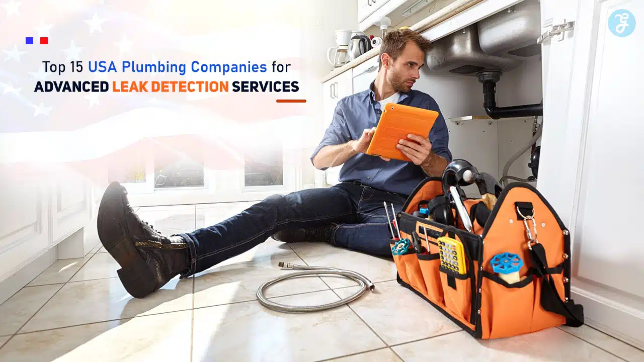 Top USA Plumbing Companies for Advanced Leak Detection Services